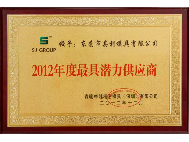 2012 Most Potential Supplier